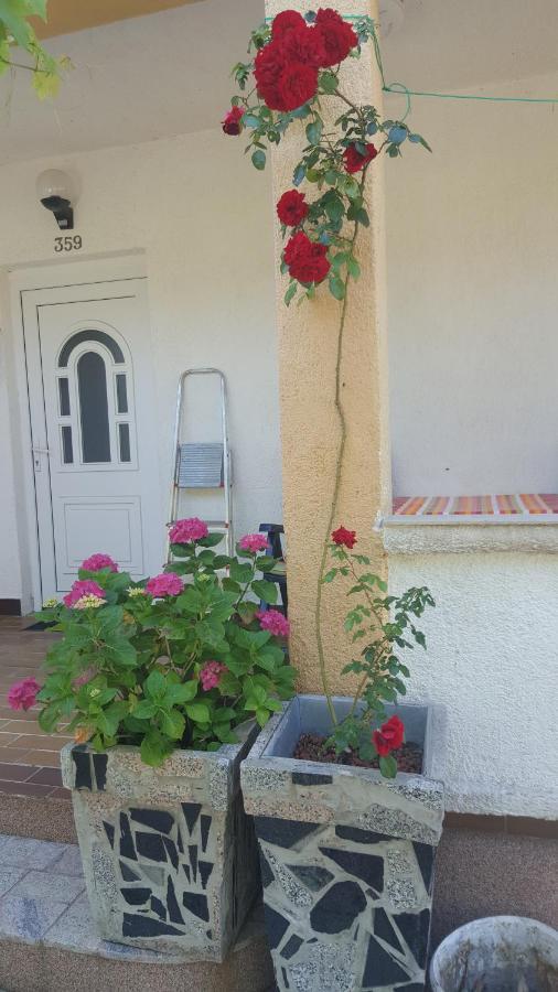 קמפור Vera Apartment מראה חיצוני תמונה